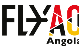 Fly